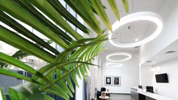 A modern reception area with a large plant, circular ceiling lights, and a view of the outside. - Skyline Views | 2 Bed 2 Bath in Prime Location | Parking/Netflix! (Birmingham)