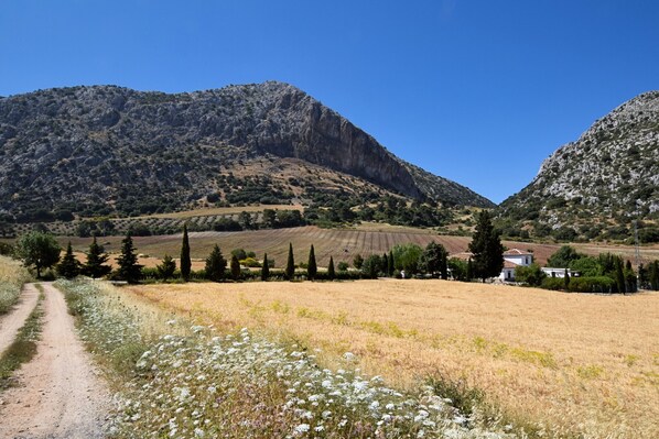 A rural landscape with a dirt road, fields, and a mountain in the background. - Authentic cortijo with private pool (Loja)