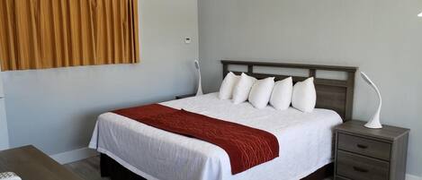 1 chambre, fer et planche à repasser, Wi-Fi, draps fournis