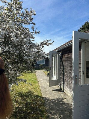 Una vivienda con un sendero que conduce a una casa de madera, un árbol con flores blancas y un cielo azul despejado.