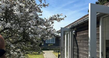 Small cottage not far from the Schoorl dunes - ideal for a break by the sea