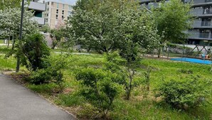 Zona residencial com edifícios de apartamentos modernos, um caminho pavimentado e áreas verdes com árvores.