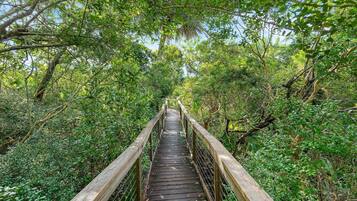Condo, Multiple Beds (Oceanwalk 10-601) | Property grounds