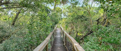 Condo, Multiple Beds (Oceanwalk 10-601) | Property grounds