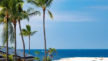 Condo, 1 King Bed with Sofa bed (Alii Villas#320) | Property grounds