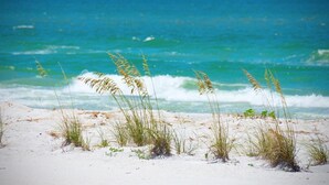 En strand med sand og græs i forgrunden og havudsigt i baggrunden.