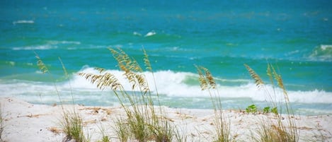Condo, Multiple Beds (Sea Club #304 - Gone Coastal) | Beach