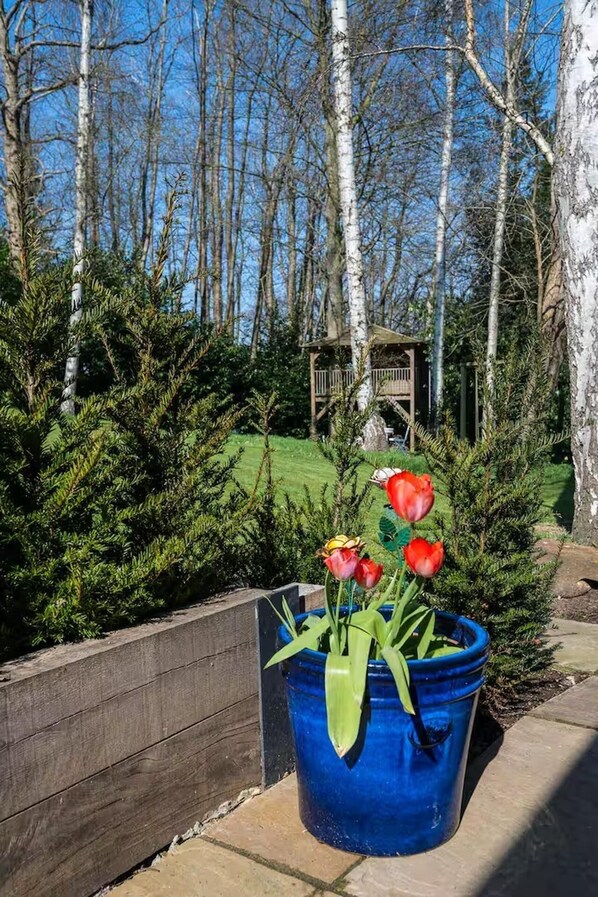 A garden with a wooden fence, a blue planter with red tulips, and a wooden structure in the background. - Aylesford-house-sleeps 2 & 1 Infant-parking (Aylesford)