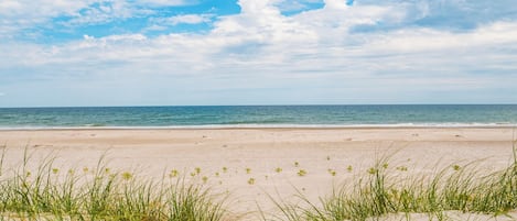 Studio (4 Bedrooms) | Property amenity