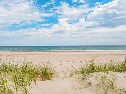 Loony Dunes