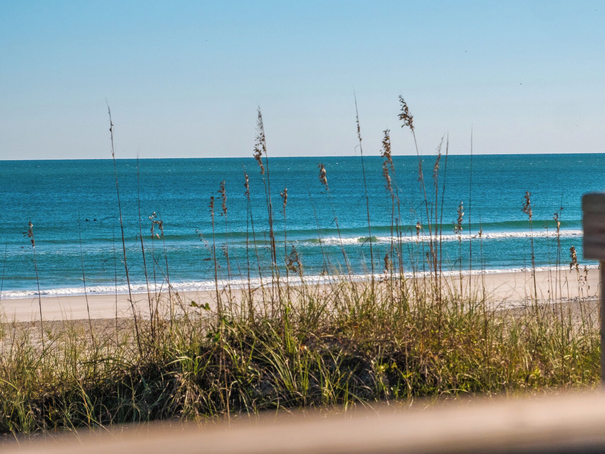 A beach with clear blue water and waves, surrounded by tall grasses.
