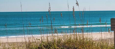A beach with clear blue water and waves, surrounded by tall grasses.