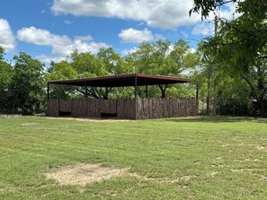 Crockett House | Courtyard view - Hereford Motel (Albany)