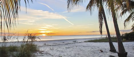 Maison, 1 grand lit et 1 canapé-lit (Island Paradise 4) | Plage