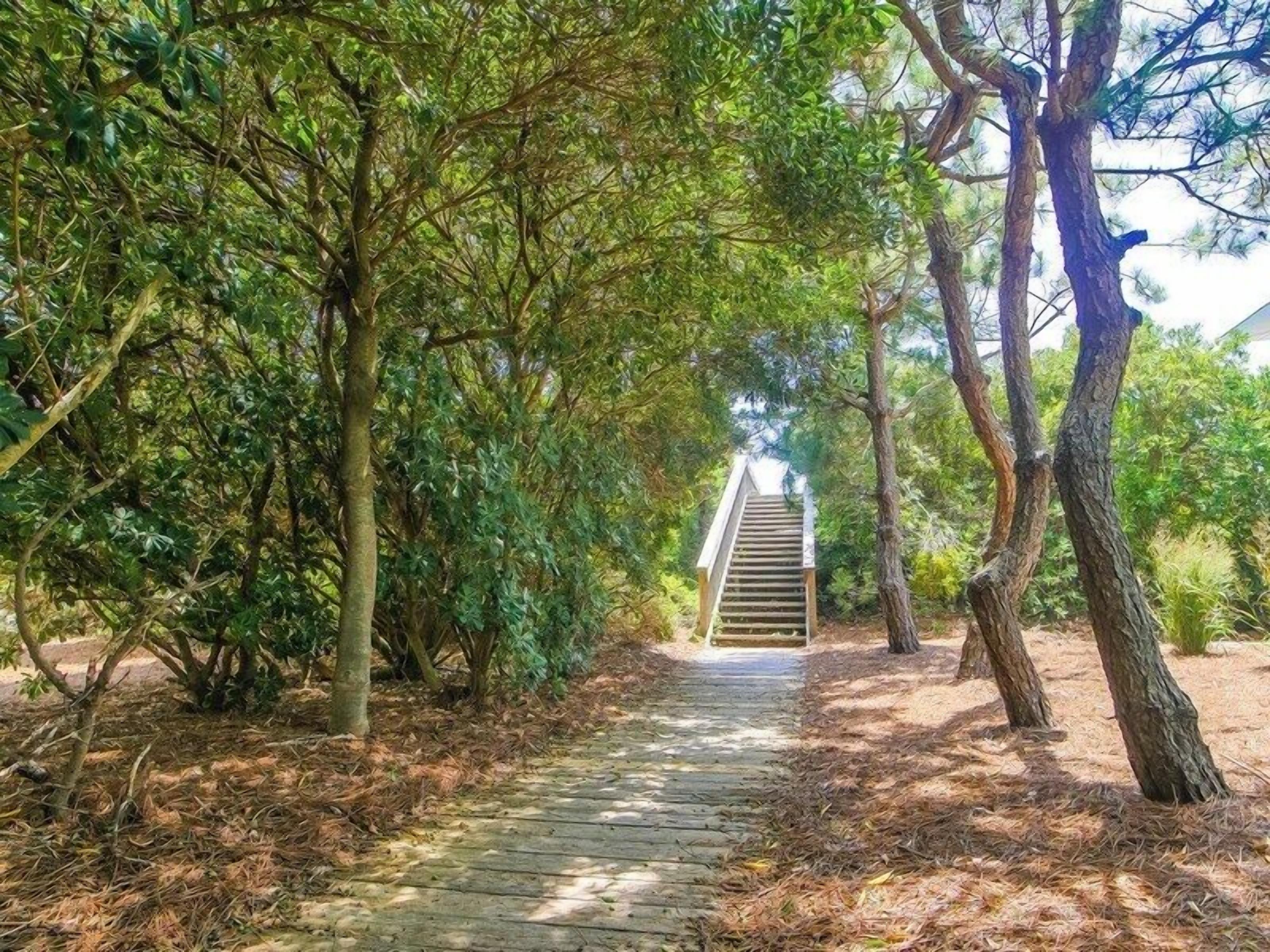 Studio (3 Bedrooms) | Property amenity