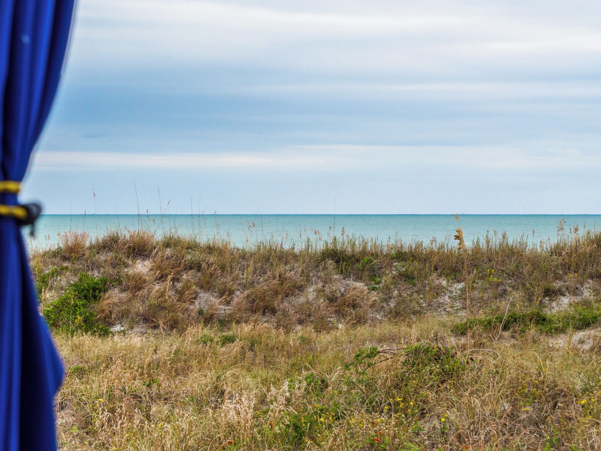 Strandudsigt med klar himmel, sandklitter og sparsom vegetation.