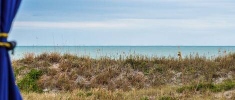 Strandudsigt med klar himmel, sandklitter og sparsom vegetation.