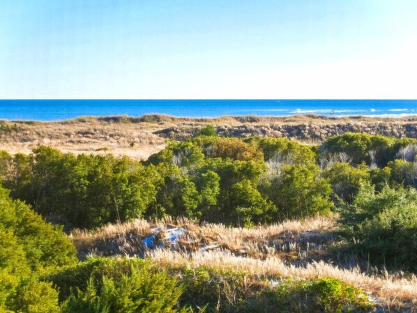 A coastal landscape with dense vegetation and a view of the ocean. - Baylin B #11B by Topsail Realty (Holly Ridge)