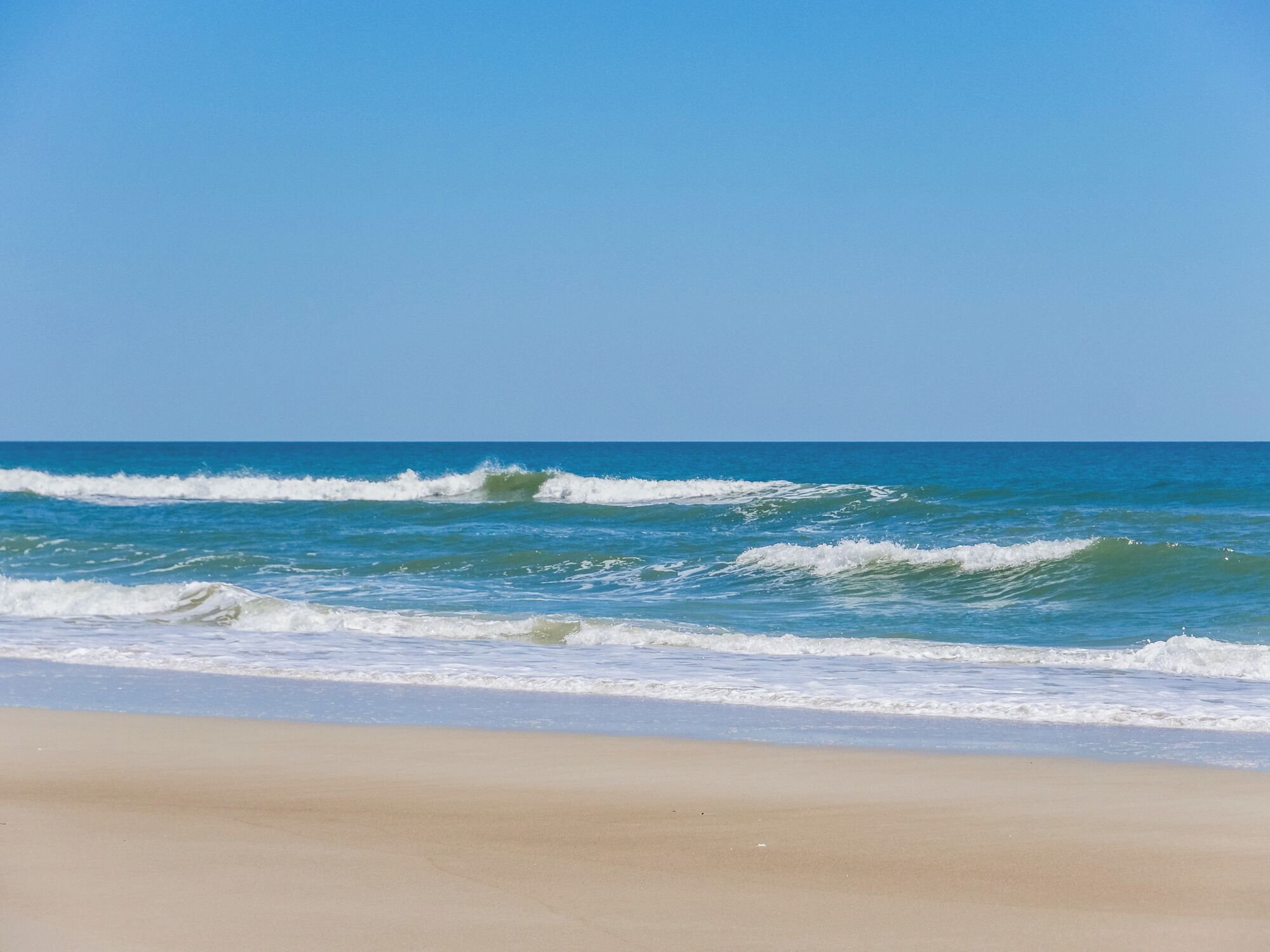 Studio (4 Bedrooms) | Property amenity