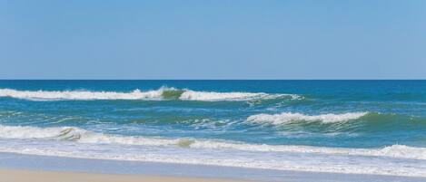 Studio (4 Bedrooms) | Property amenity