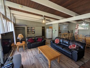 Televisie, een open haard, een dvd-speler en boeken