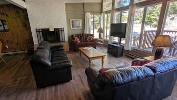 TV, fireplace, DVD player, books