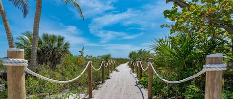 A sandy pathway with wooden posts and ropes, surrounded by palm trees and greenery.