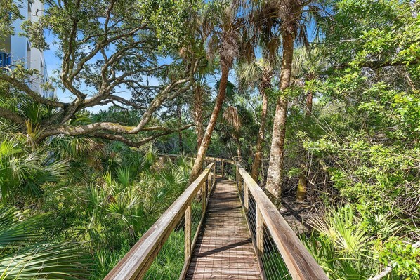 Lejlighed - flere senge (Oceanwalk 3-304) | Overnatningsstedets område