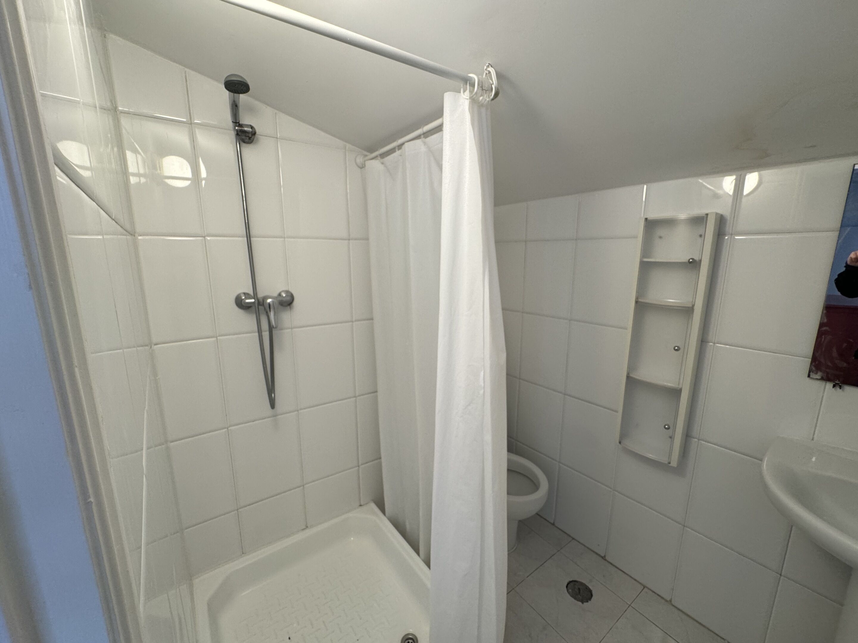 Et badeværelse med bruser, toilet og håndvask.