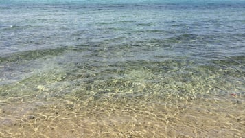 Plage à proximité, chaises longues, serviettes de plage