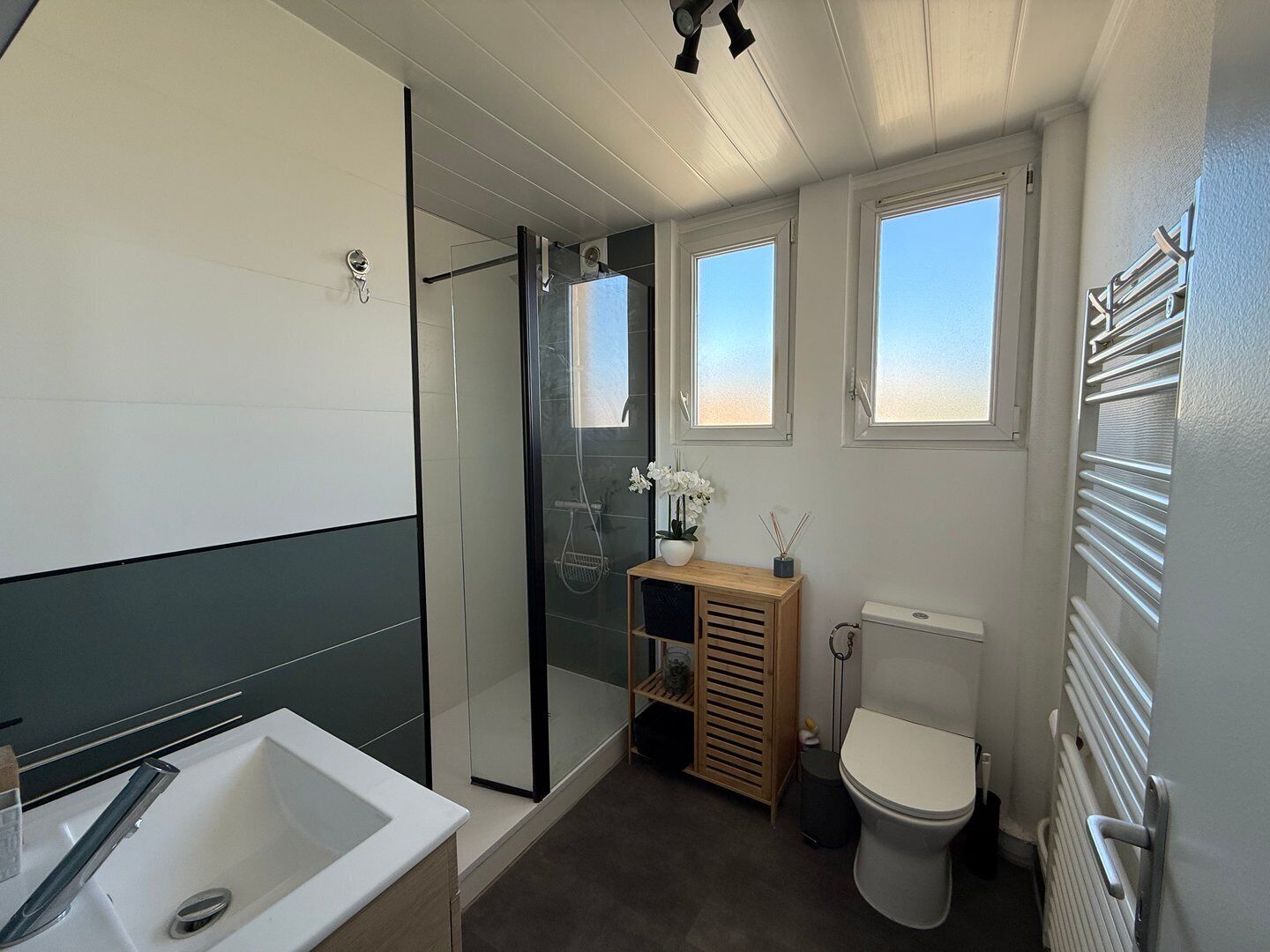 Shower, hair dryer, towels