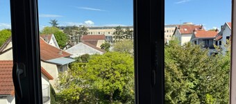 Comfort in the Heart of Dijon