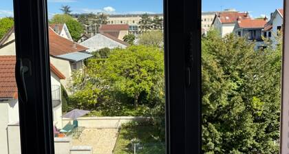 Comfort in the Heart of Dijon