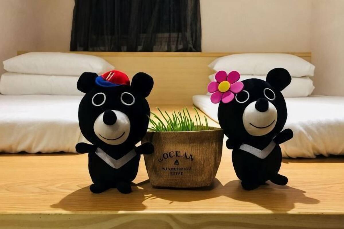 Two plush toy bears on a wooden surface with a potted plant between them.