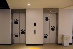 Interior - Hey Bear Capsule Hotel (Xinbei Taipei Bridge Metro Station) (New Taipei City)