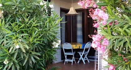 STOP-CANET-PLAGE-F2 RDC-4P. Parking-courtyard-10mn beach - ideal for children)
