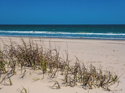Beach Around & Find Out by Topsail Realty