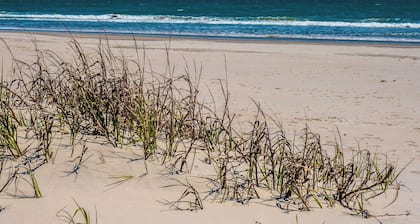 Beach Around & Find Out by Topsail Realty