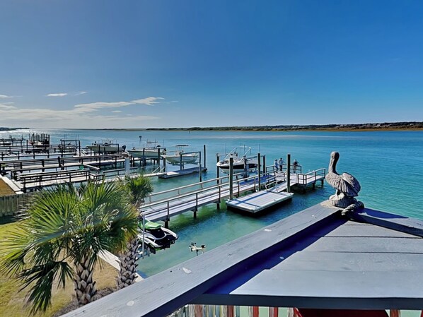 Studio (4 Bedrooms) | Property grounds