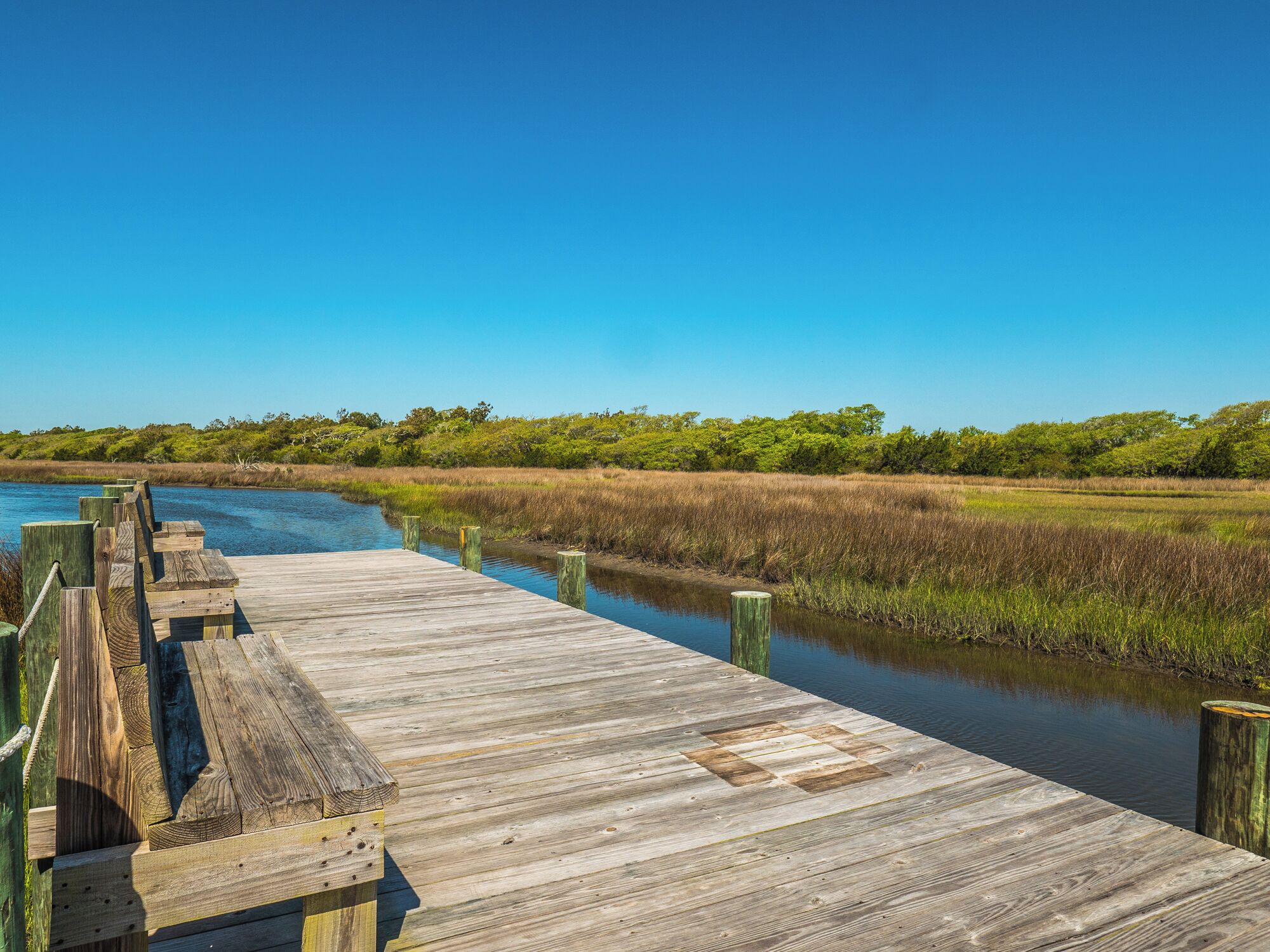 A wooden pier extending into a calm body of water, surrounded by dense marsh vegetation and a clear blue sky.