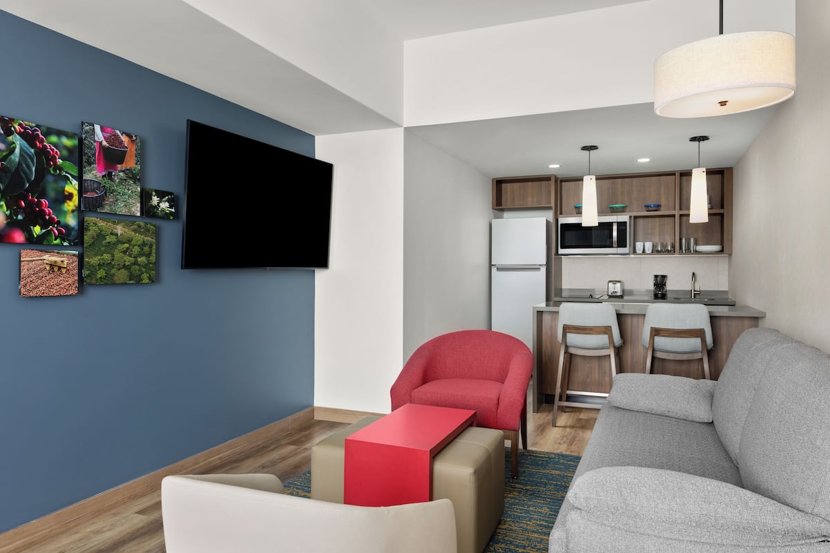 Suite, 1 Bedroom, Kitchen | Living room