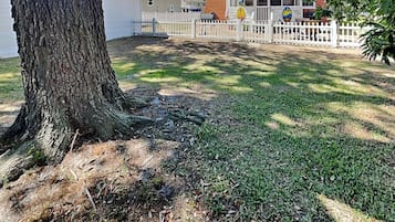 Studio (3 Bedrooms) | Property amenity