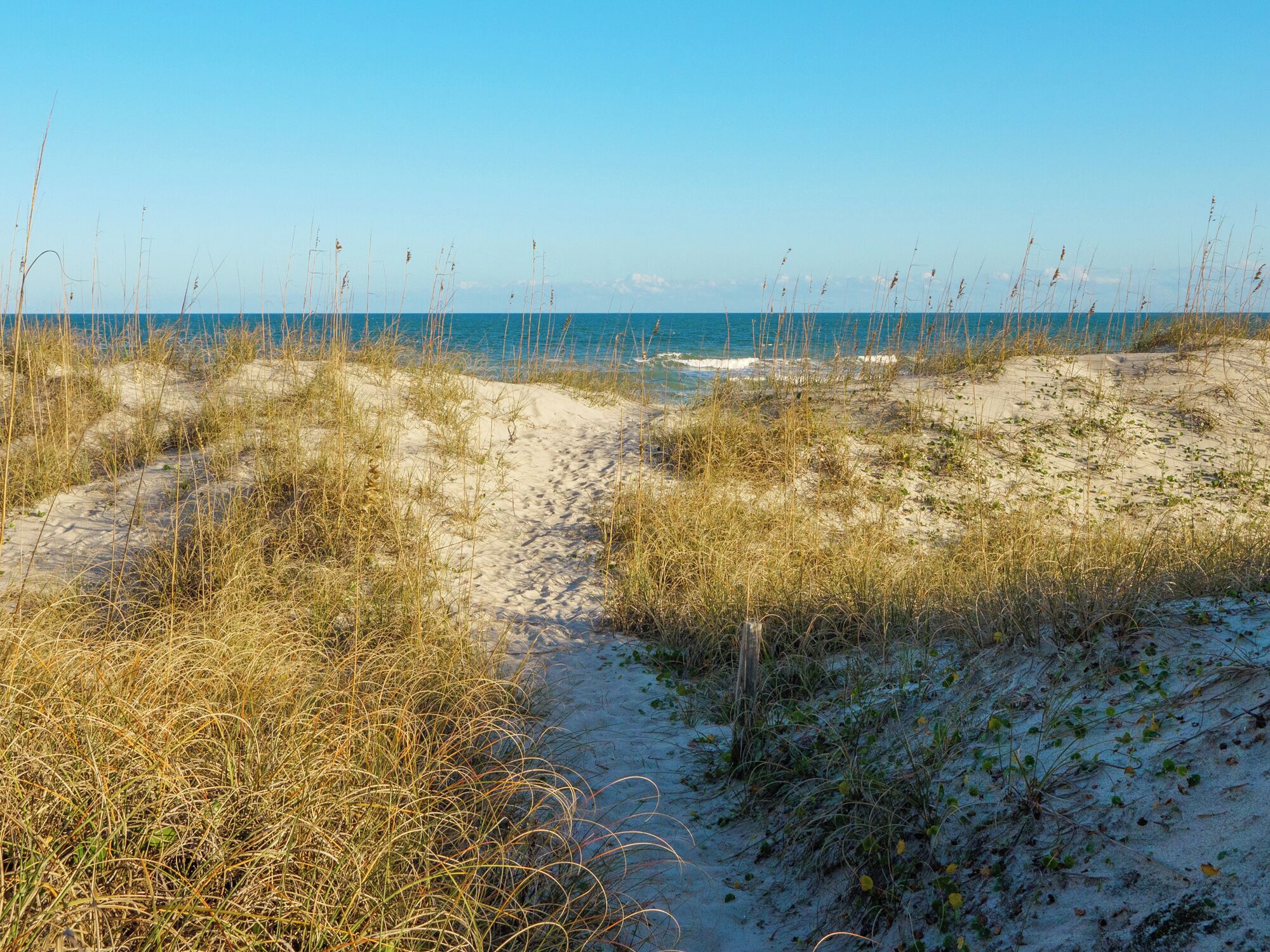 開放式客房 (3 Bedrooms) | 住宿設施服務