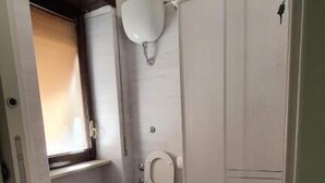 Een kleine, compacte badkamer met toilet, toiletpot en wastafel.