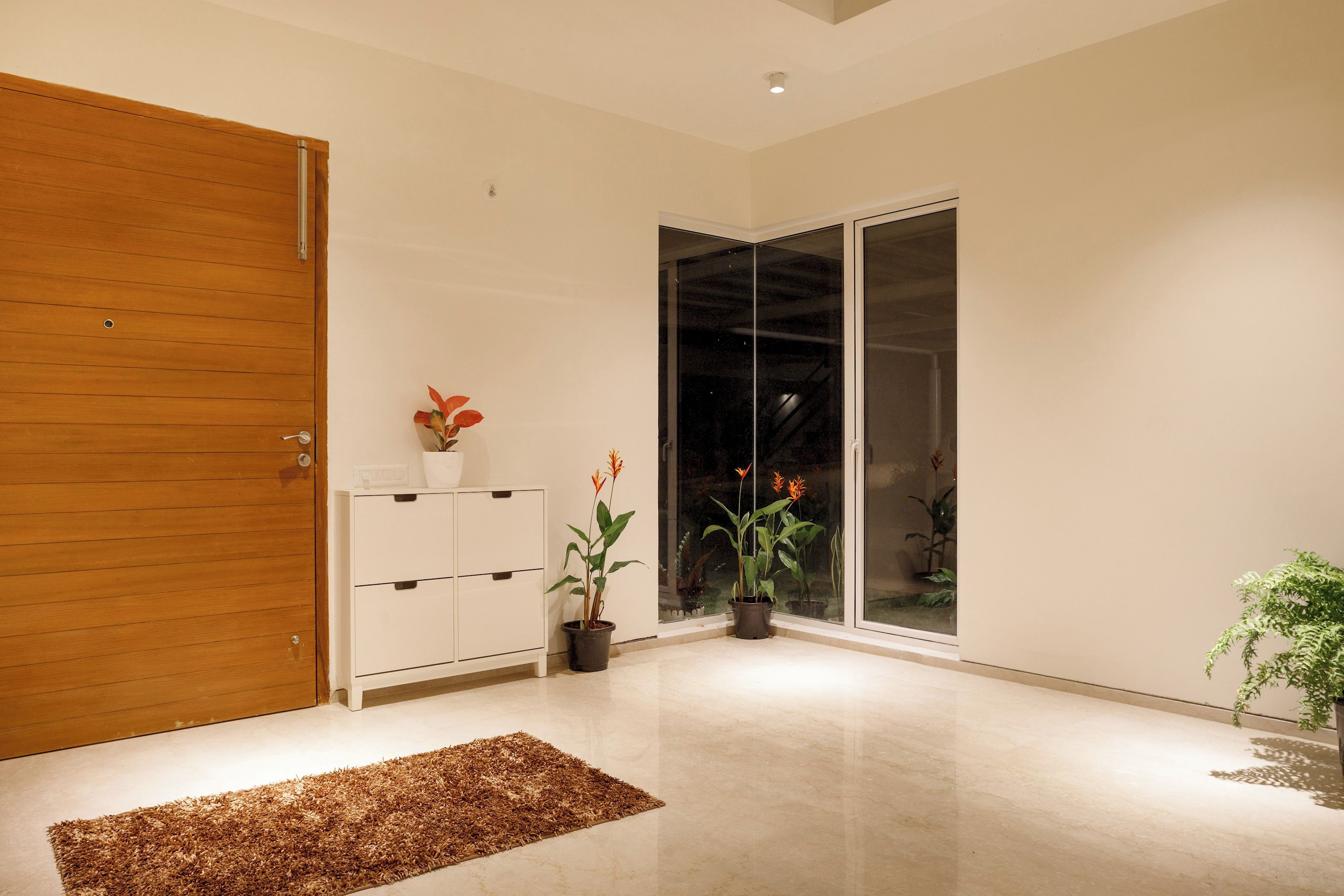 Ein modernes Interieur mit einer Holztür, einem weißen Schrank und zwei Blumentöpfen.