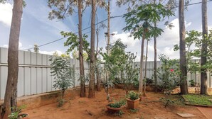 Un jardín con árboles, plantas en macetas y suelo de tierra.