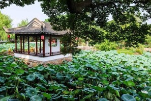 Enceinte de l’hébergement