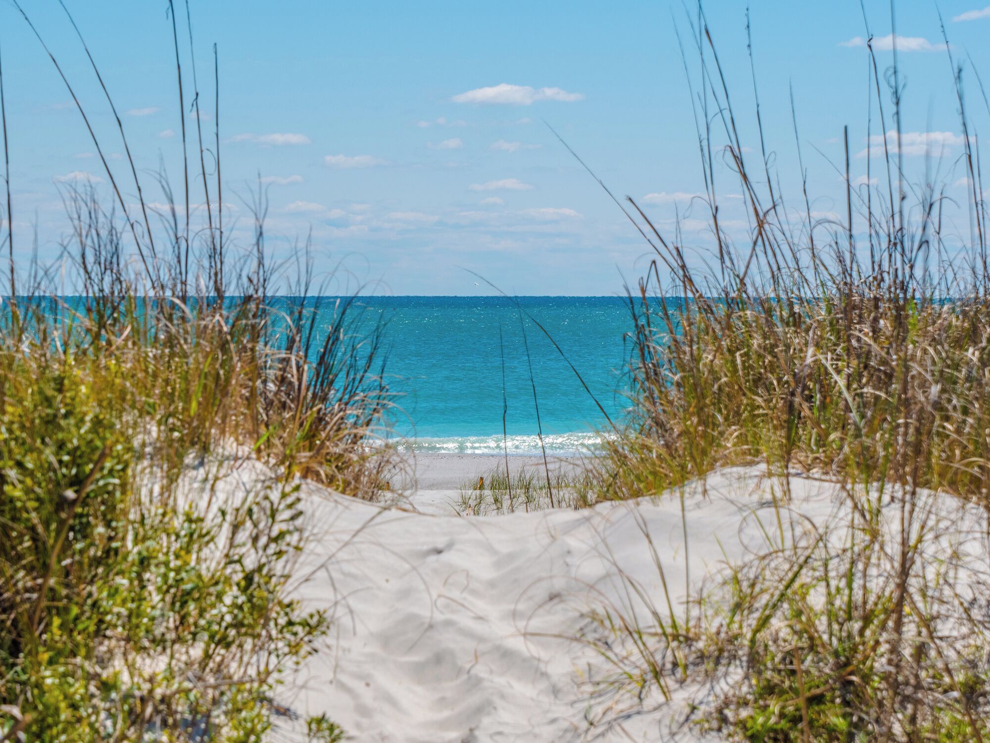 Studio (4 Bedrooms) | Property amenity