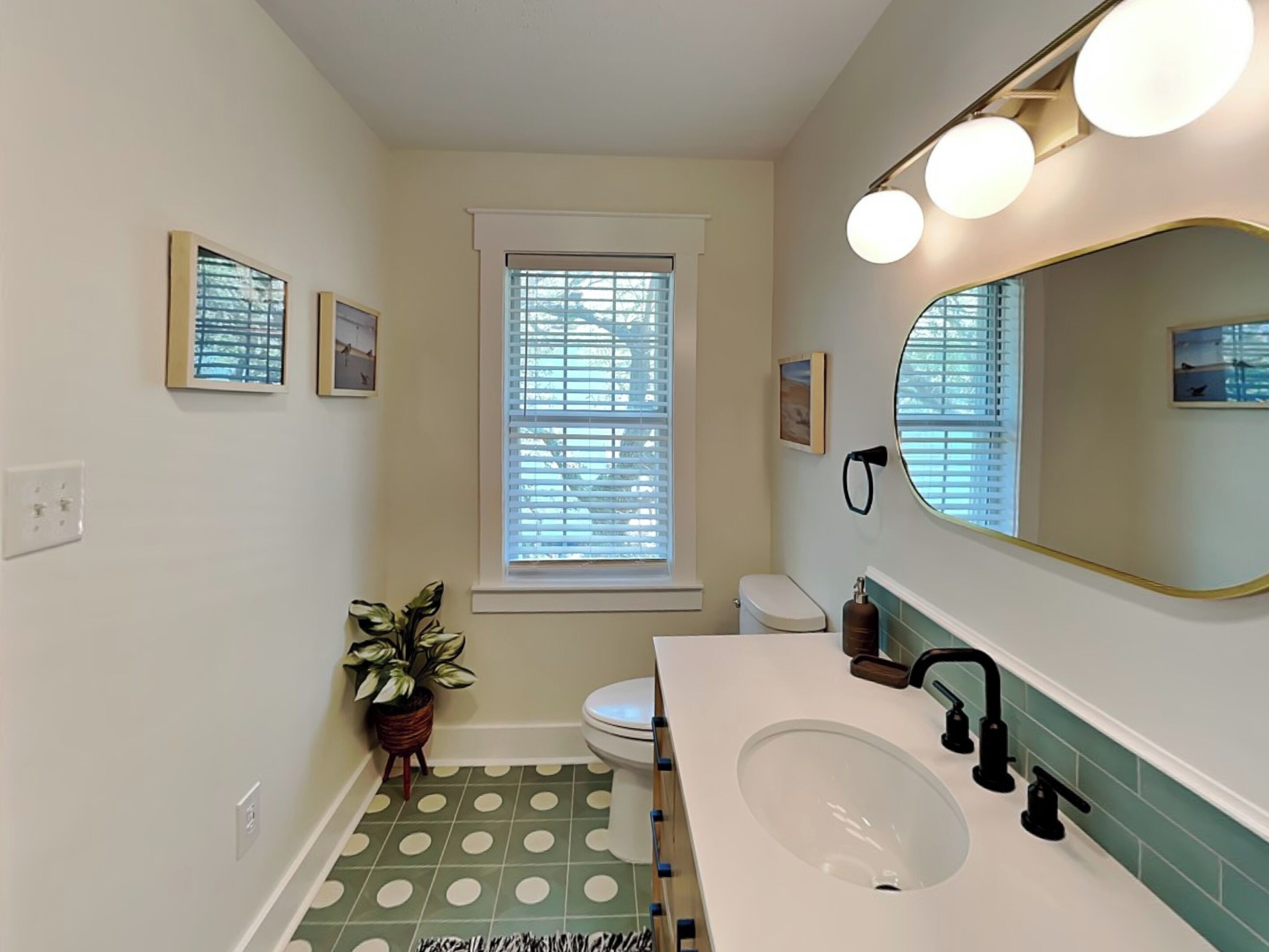A bathroom with a white sink, green polka dot floor, a potted plant, and a window with blinds.