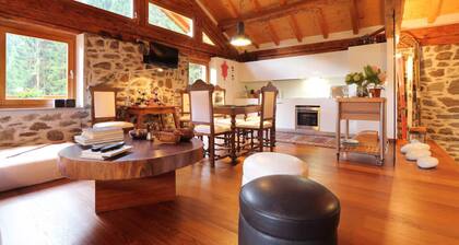 Unique chalet in the green Trentino, with sauna and private forest, ideal for relaxation.
